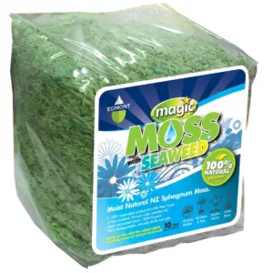 Magic Moss
