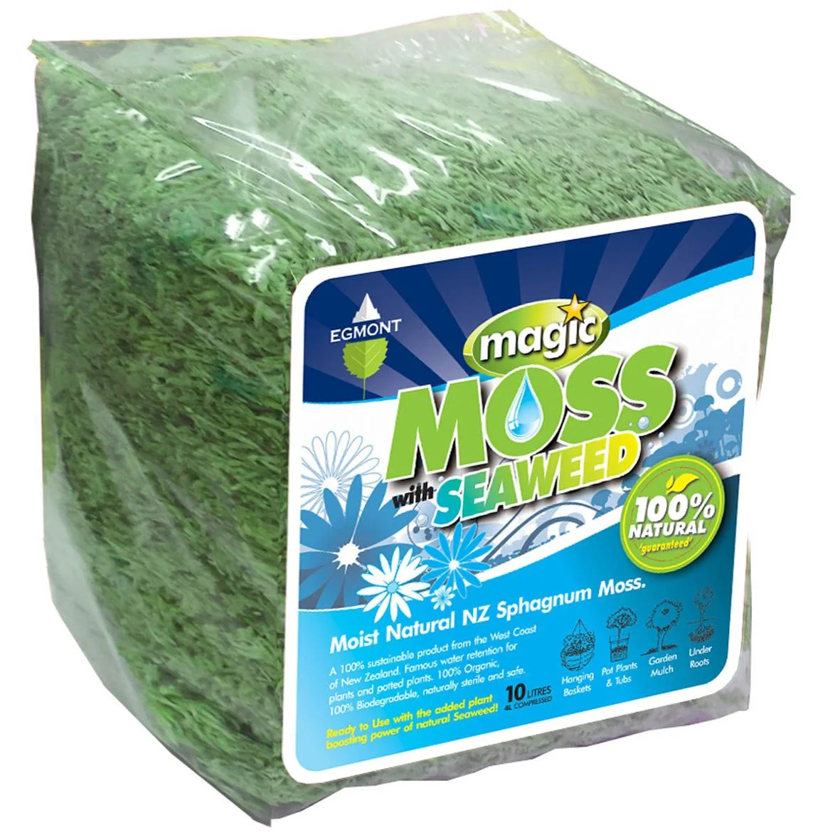 Magic Moss